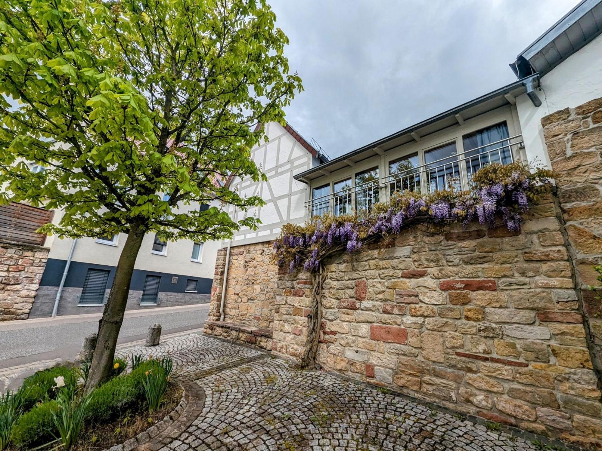 Ferienhaus Am Park Klingenmuenster Exterior photo